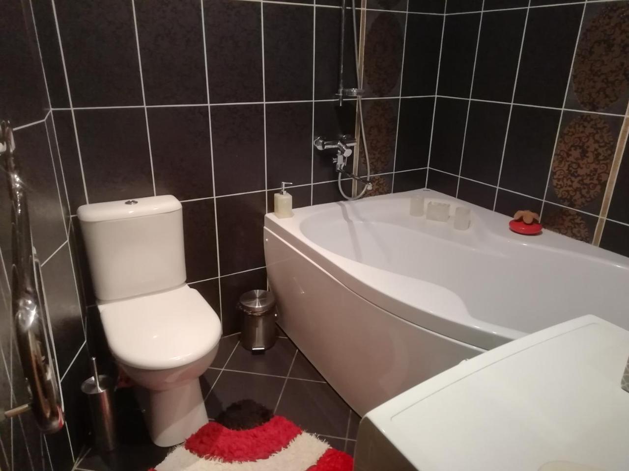 Justinos Apartamentai Panevezyje Паневежис Экстерьер фото